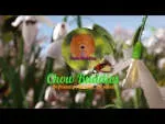 Chow Buddies Limited company icon