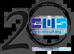 King of CMS Consulting company icon