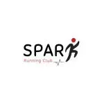 Sparkborders company icon