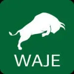 Waje Smart Solutions company icon