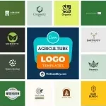 BEDEOBAS AGRICULTURAL MKT HUB company icon
