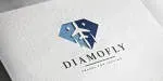 Dluxfly Travels company icon