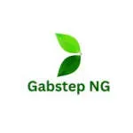 Gabstep NG company icon