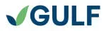 Guufs International company icon