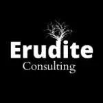 Erudite Consulting company icon