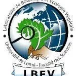 Lbev Nigeria company icon