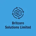BRICORE SOLUTION company icon