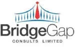 Bridgegap Consults Limited company icon